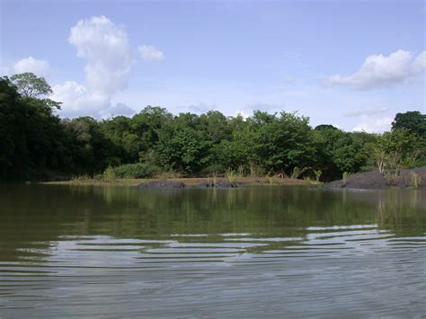 Comoé National Park Côte Divoire Among The Largest Protected Sites