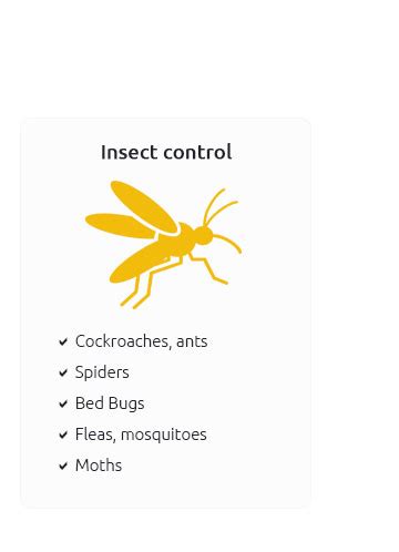 Termite Infestation Treatment Mar 2025