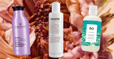 12 Best Smelling Shampoos In 2023 Crumpe