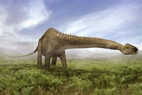 Diplodocus Fotos Hechos Y Historia Dinosaurios