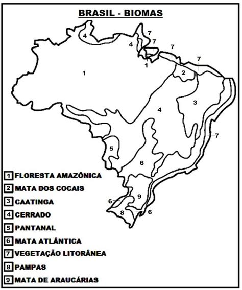 MAPA BIOMAS DO BRASIL PARA COLORIR SUPORTE GEOGRÁFICO