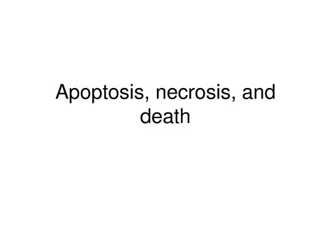 Solution Cell Cycle Apoptosis Necrosis Studypool