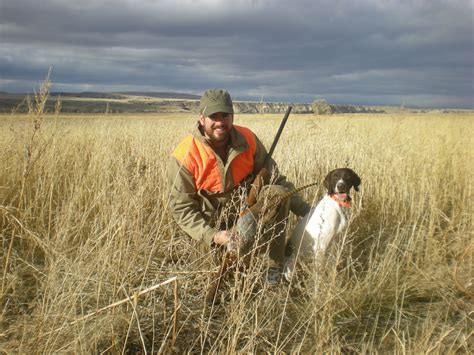 Montana Upland Bird Season Britt Colleen