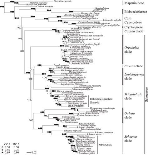 Figure From Radiation And Repeated Transoceanic Dispersal Of