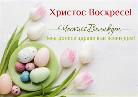Отделение по Педиатрия МБАЛ Княгиня Клементина - Home