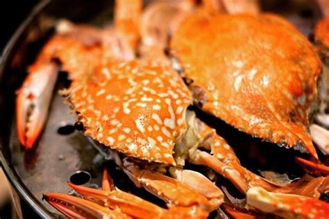 Seafood Enak Di Jakarta Newstempo