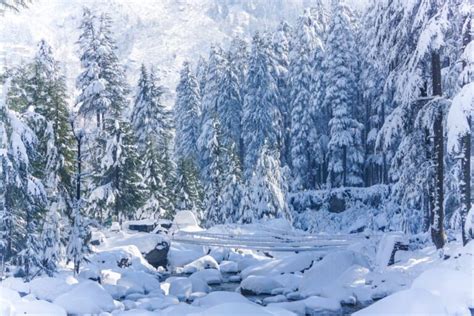 Best Snowfall Places In India