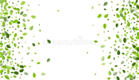 Swamp Greens Flying Vector Border Transparent Stock Illustration