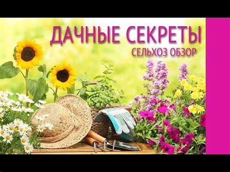 Супер ранний картофель Технология | Дача, огород, хозяйств… | Flickr