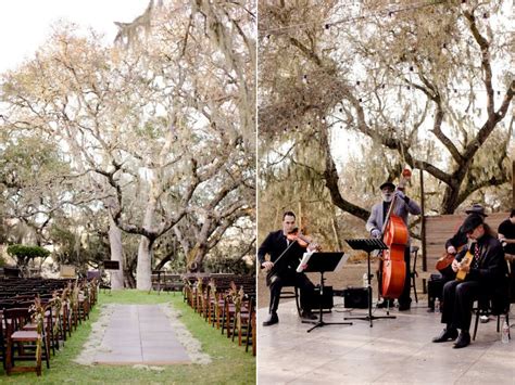 Urban Outdoor Wedding Ceremony Under Birch Tree