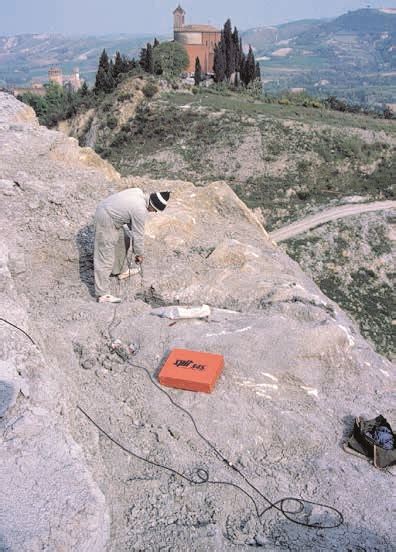 Trappole Preistoriche Museo Geologico Del Monticino I Musei Dell