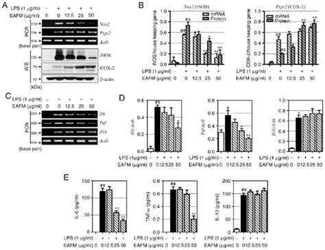 Effects Of Eafm On Inos Cox 2 And Pro Inflammatory Cytokine