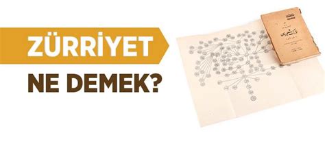 Zürriyet Ne Demek Zürriyet Ne Anlama Gelir İslam ve İhsan