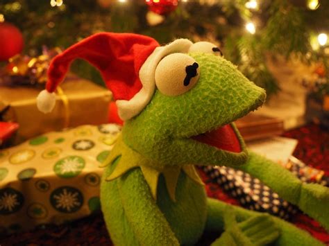 Free photo: Kermit, Frog, Christmas Frog - Free Image on Pixabay - 919822