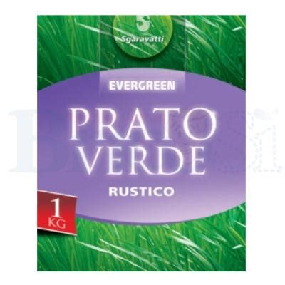 Semi Sementi Di Erba Per Prato Rustico Sempreverde 500gr 1Kg