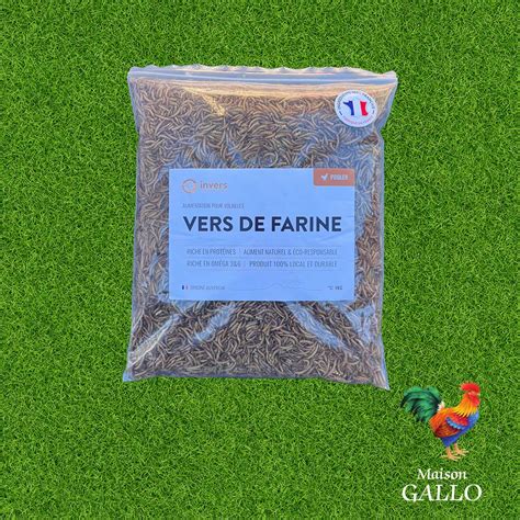 Vers de farine désydratés 1kg Maison Gallo