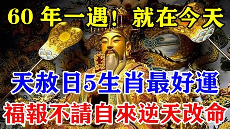 60年一遇！就在今天！「天赦日」這5生肖幸運至極！真的是太好運！福報不請自來能逆天改命！從年頭旺到年尾！運勢 風水 佛教 生肖 发财 横财 【佛之緣】 Youtube