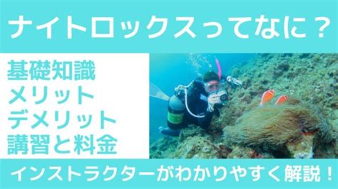 【初心者必見！】ナイトロックスダイビングの基礎知識とライセンス取得を解説！｜モンツキくんの沖縄ダイビング大学