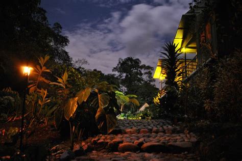 Cabañas frente al río en la selva con noche de luna llena