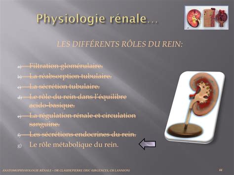 Physiologie Renal TD Corrige