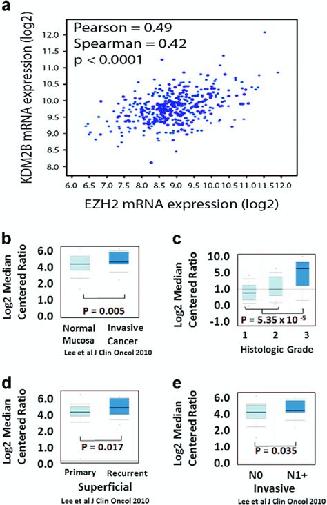 Expression Of The Histone Demethylase Kdm B Which Is Upregulated By