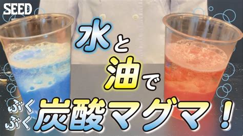 水と油で炭酸マグマをつくろう【コンタクトレンズのシード理科実験⑱】 Youtube