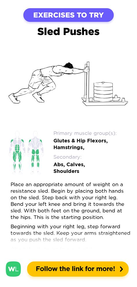 Sled Pushes Workoutlabs Exercise Guide