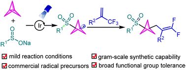 Visible Light Induced Gem Difluoroallylation Of 1 1 1 Propellane To