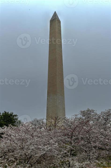 Washington Monument during the cherry blossom festival in Washington ...