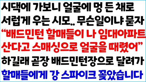 [반전사이다사연] 시댁에 가보니 얼굴에 멍 든 채로 서럽게 우는 시모 무슨일이냐고 묻자 배드민턴 할매들이 나 임대아파트 산다고 스매싱으러~ 라디오드라마 사연라디오