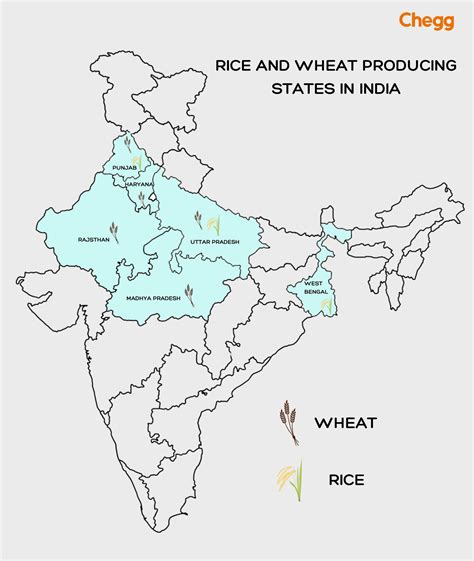 3 Essential And Thriving Crop Seasons In India Rabi Kharif Zaid