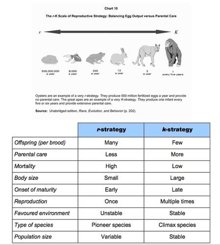 Esc Exam Chapter Flashcards Quizlet