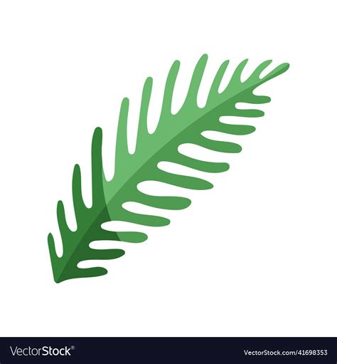 Tropical leaf palm Royalty Free Vector Image - VectorStock