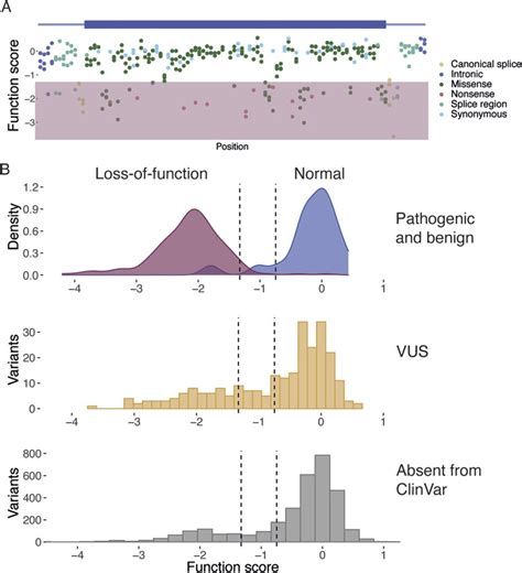 Sge Of Brca Improves Clinical Variant Interpretation Sge Was Used To