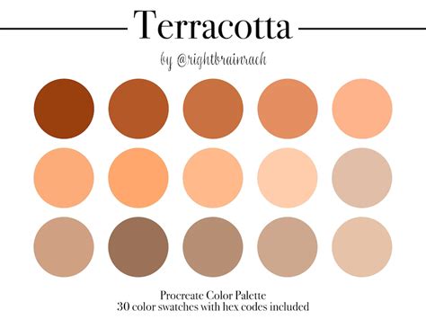 Terracotta Procreate Color Palette Color Swatches Neutral Orange