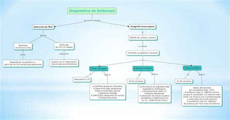 Blog De Ginec Loga Y Obstetricia De Brianda Xiomara Aguilar Beltr N