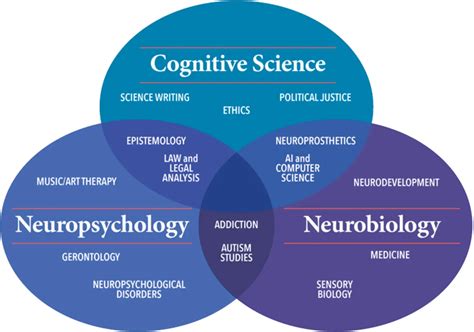 Cognitive Science Understanding The Key Concepts