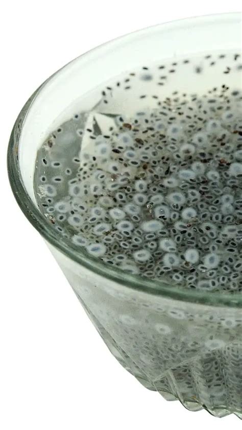 5 Health Benefits Of Basil Seeds