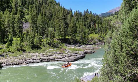 Meet 6 Snakes Of The Snake River A Z Animals