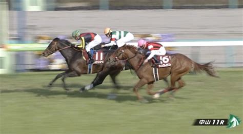 Jra Fun On Twitter ニュージーランドトロフィーgiiを優勝したのは、ルフトシュトローム！ 3歳マイル王決定戦に向け