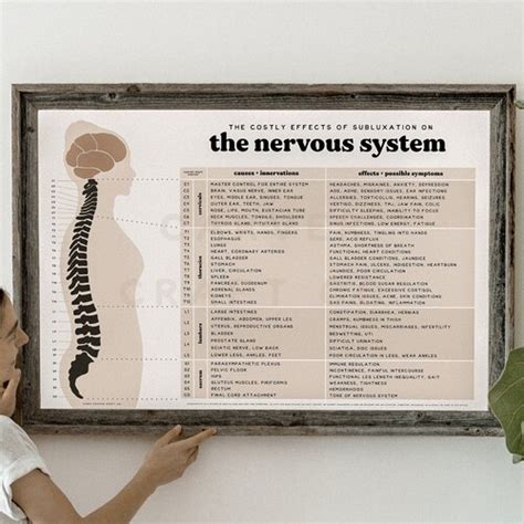 Chiropractic Ans Chart Nervous System Poster Subluxation Etsy