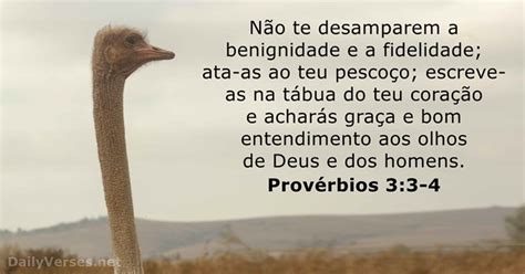 Provérbios 3 3 4 Versículo da Bíblia DailyVerses net