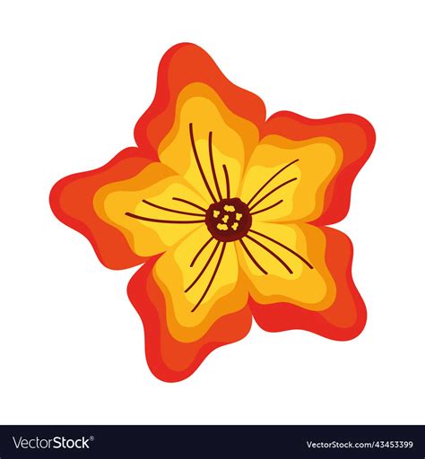 Orange Flower Garden Decoration Royalty Free Vector Image