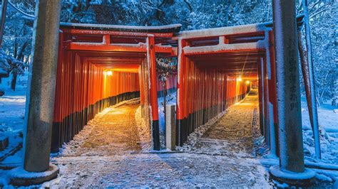 Kkyoto In Snow Fushimi Inari Taisha In The Silver World