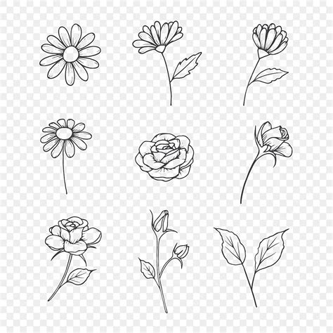 Hand Drawn Flowers Vector | Best Flower Site