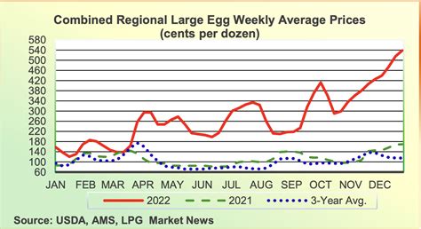 Egg Prices Keep Soaring — But It’s Not Just About Inflation | the deep dive