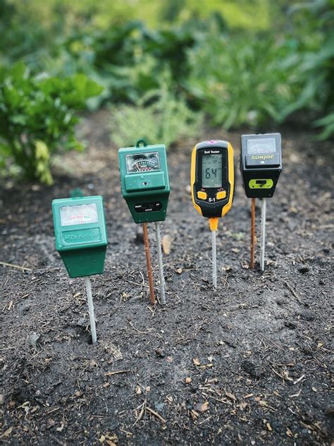 How To Ph Soil Test Back Gardener