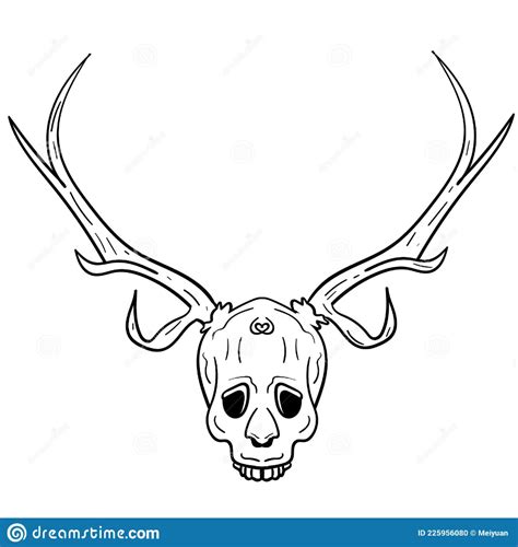 A Deer Skull With Antlers On Its Head