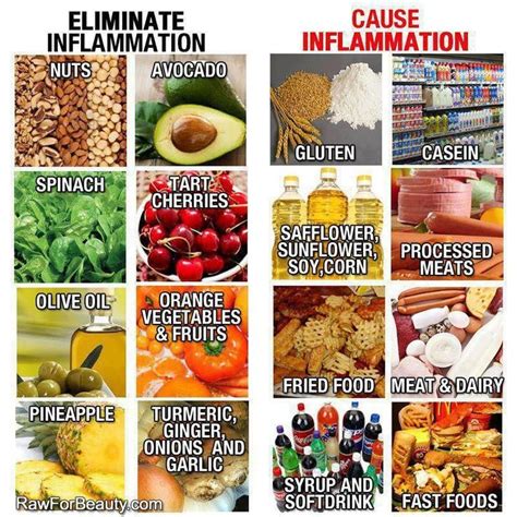 Foods That Cause Inflammation - WEDINGPOKA