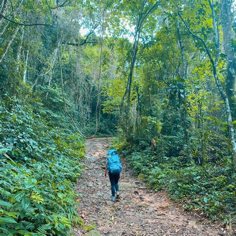 As Melhores Trilhas Da Ilhabela Blog Da Aventura